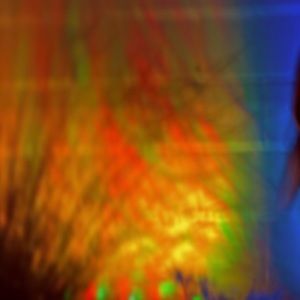 Meet your Posher, Cameron